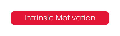 Intrinsic Motivation